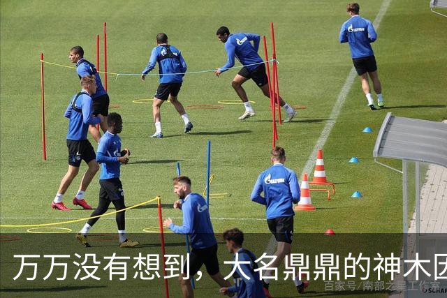 万万没有想到，大名鼎鼎的神木因为一根灯杆火了......