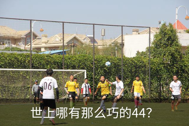 世上哪有那么巧的44？