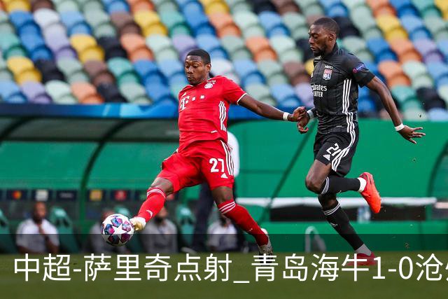 中超-萨里奇点射 青岛海牛1-0沧州雄狮携手保级