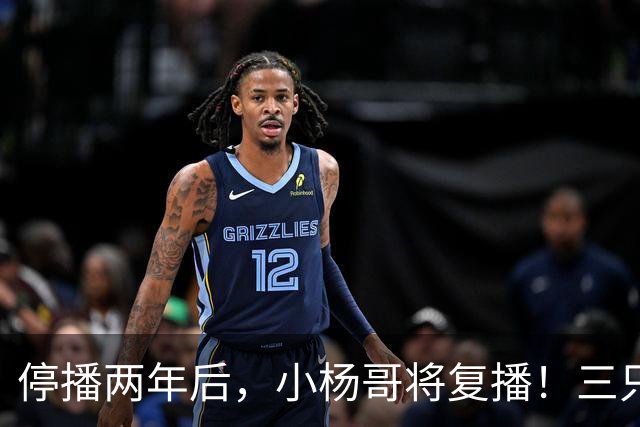 停播两年后，小杨哥将复播！三只羊曾转战海外签约无语哥