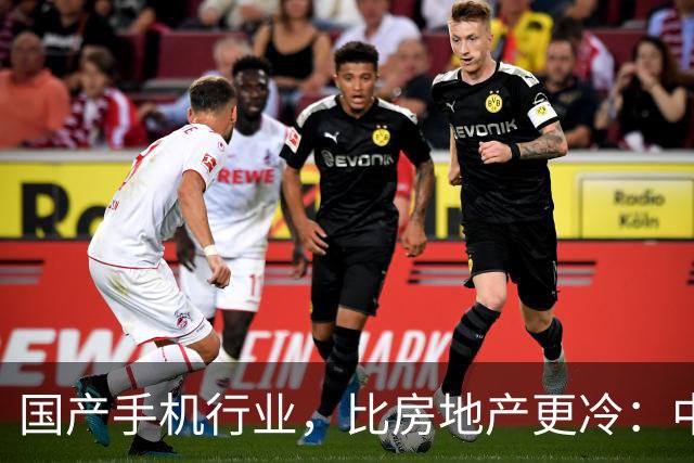 国产手机行业，比房地产更冷：中低端手机涨价，消费者用脚投票