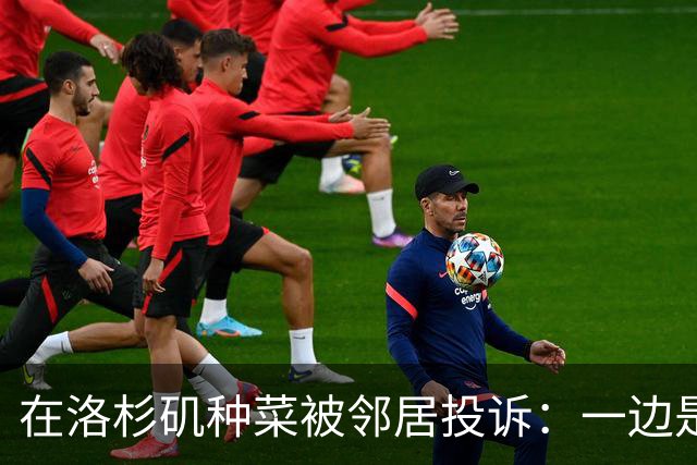 在洛杉矶种菜被邻居投诉：一边是中国人的乡愁，一边是美国人的规矩
