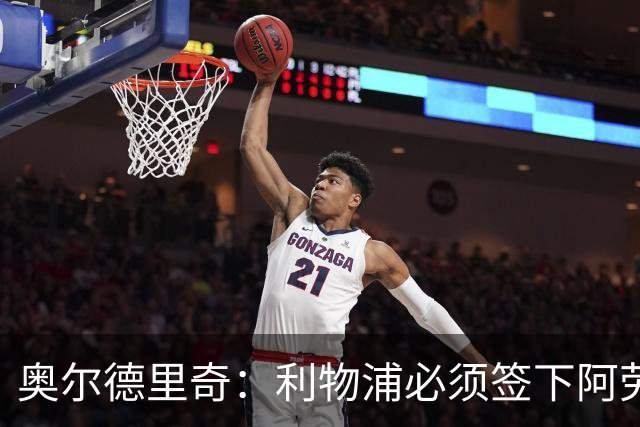 奥尔德里奇：利物浦必须签下阿劳霍