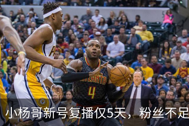 小杨哥新号复播仅5天，粉丝不足10万，直播间观看人数不到2000