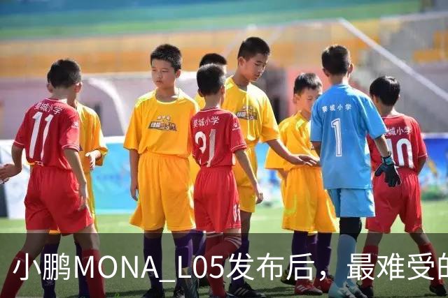小鹏MONA L05发布后，最难受的居然是自家G6和G7？