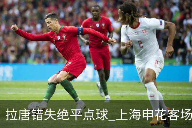 拉唐错失绝平点球 上海申花客场不敌深圳新鹏城