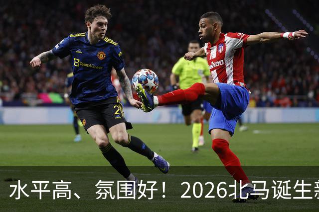 水平高、氛围好！2026北马诞生新纪录，赛事组织获选手认可