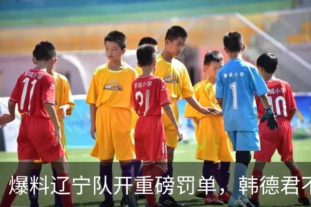 爆料辽宁队开重磅罚单，韩德君不留情面，乌戈要把邱彪指导打下课