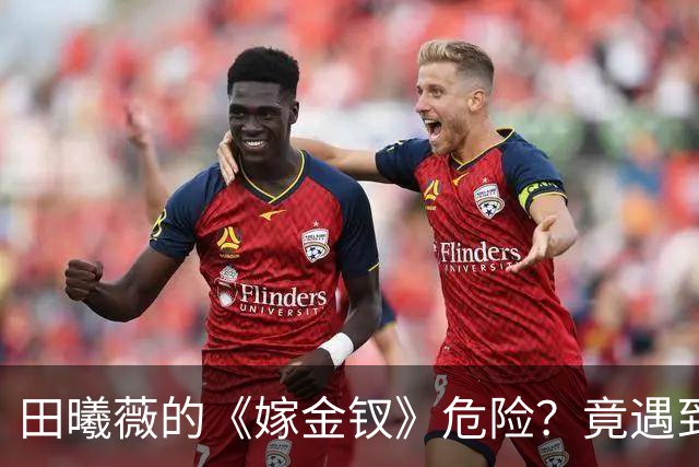田曦薇的《嫁金钗》危险？竟遇到两位高质量剧，直接对打？