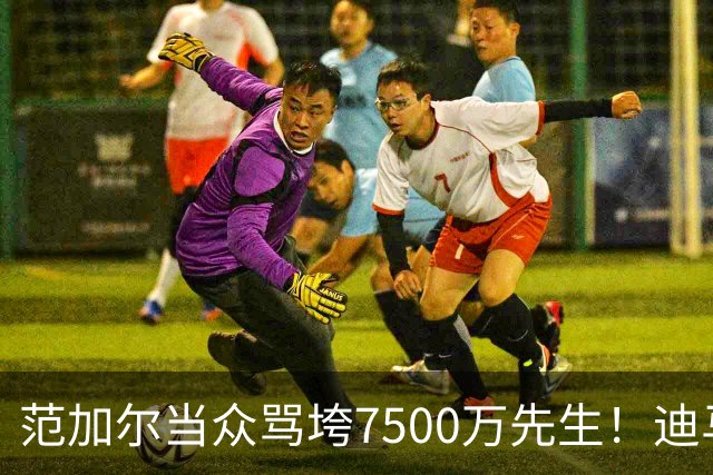 范加尔当众骂垮7500万先生！迪马利亚曼联陨落真相，埃雷拉全说了