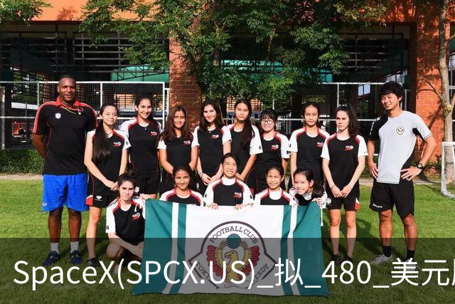 SpaceX(SPCX.US) 拟 480 美元/股收购特斯拉(TSLA.US)，总估值 3.74 万亿